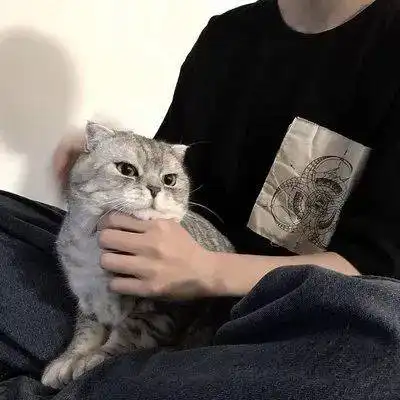 快叫上朋友来换微信头像啊
