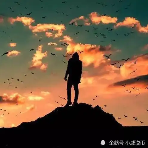 小威说币11.9美国大选比特币爆涨后全球资产排名上升

