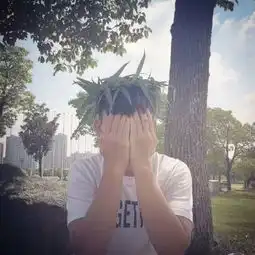 情侣头像,男女生都遮脸,在一个树下面,这个的另一半
