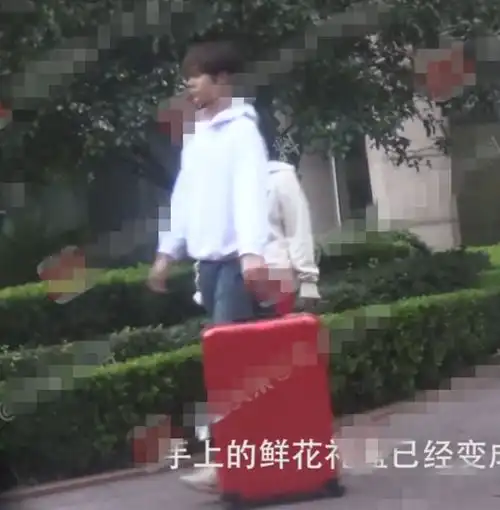 阚清子新恋情曝光牵手鲜肉男友过国庆假期,比纪凌尘还小两岁