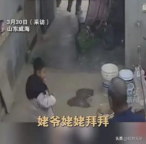丧尽天良5岁男孩被亲妈和男友虐待致死警方介入,母亲身份曝光