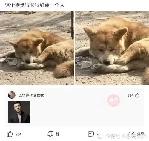 神回复没点实力我都不好意思秀战绩腾讯新闻
