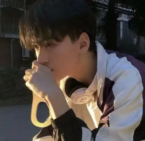 男生头像等不到双子座,流星雨洒满天际
