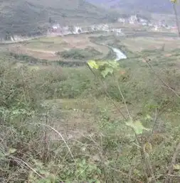 清镇市乡镇分布图
