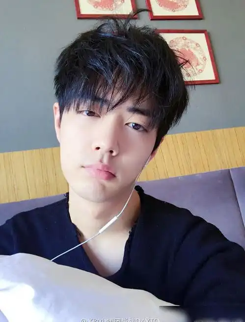 肖战本人需要针对粉丝事件回应什么难道非得退圈才算结束吗