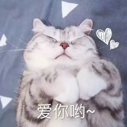 杂谈pei姨日常叨叨叨no.002我爱的人有着世上最好看的笑脸
