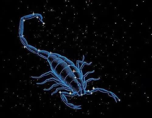 星座爱情,天秤座的女人与天蝎座的男人配不配
