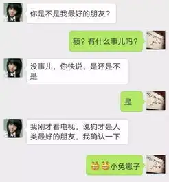 一妹纸聊天记录曝光简单粗暴现实结局让人惊呆