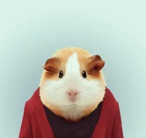 当代沙雕发朋友圈必备的文案,笑到肚子疼
