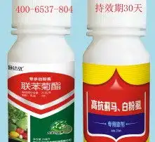 黄页88高清图片