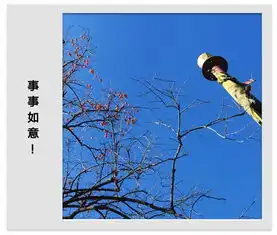 七寻八找的胡同菜馆
