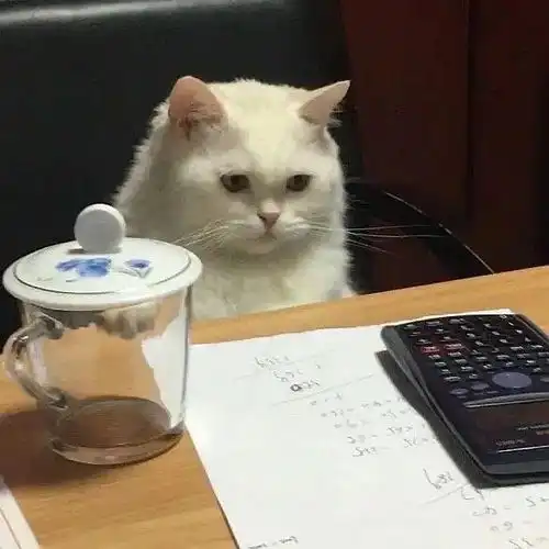 头像小猫头像可爱搞怪
