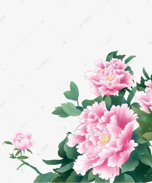 植物牡丹花手绘素材图片免费下载千库网
