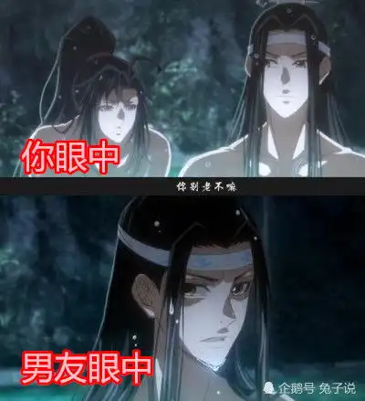 同样是魔道祖师,你眼中vs男友眼中,网友铁杆道友才懂的死梗