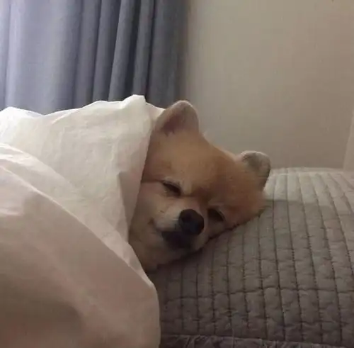 3.3小头像壁纸
