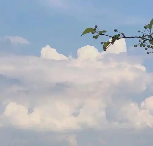 温柔到极致的文案
