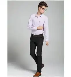 占姆士jamesearl男士长袖衬衫紫色细格纹衬衫da162029418
