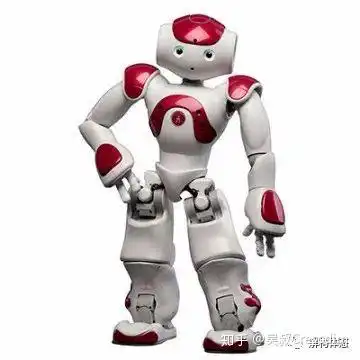 为什么小臂和小腿都有两根骨头,一根不行吗