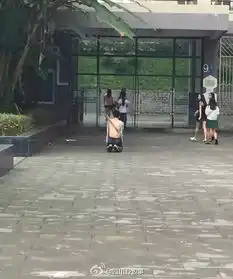 男子在女友寝室门口负荆请罪疑求女友原谅