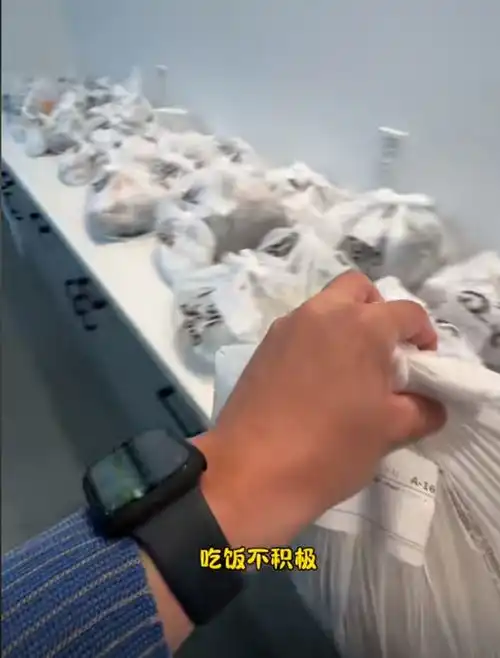 中国男子称在美工厂上班很痛苦,累一天就接个地线,网友急了