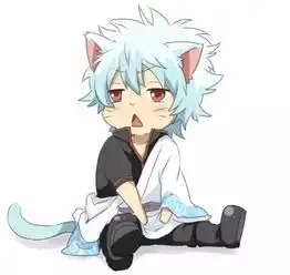 二次元中你最想跟随谁第一毫无悬念
