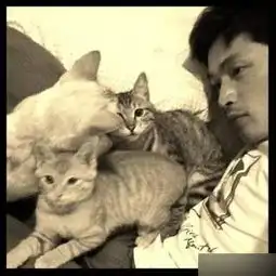 胡歌给猫找媳妇操碎心,ab把猫毛p没了,悄咪咪给它配种没常识