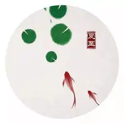 夏至知时多雨露,骄阳转折爱温柔
