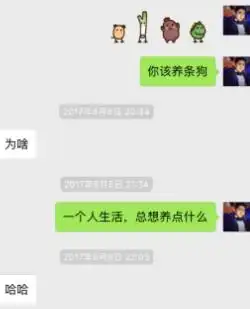 男人只有这样的聊天,才能完全吸引她
