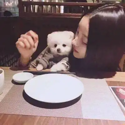 超漂亮的女生抱着萌宠合照头像

