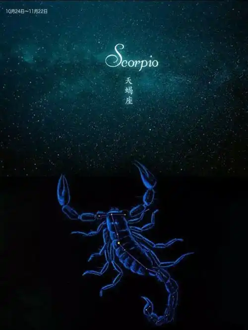 占有欲极强的星座男,对另一半忠诚度要求很高
