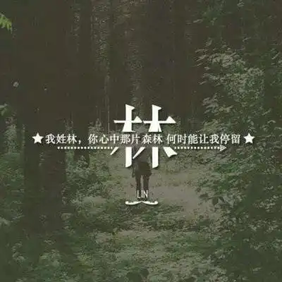 我姓林微信头像大全带林字个性女生头像图片
