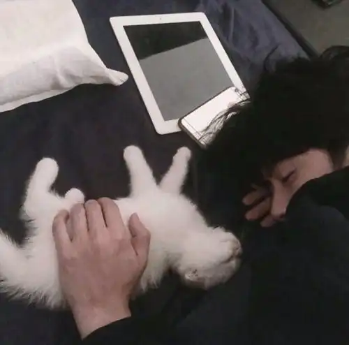 男生头像努力的人最耀眼