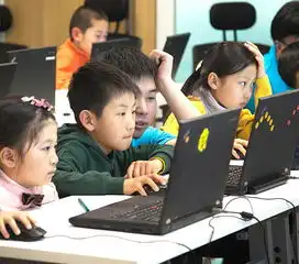 极客晨星少儿编程加盟极客晨星少儿编程加盟费多少钱加盟条件详情中教招商网