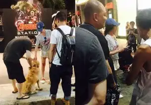 疑遇诈骗萧亚轩与狗狗摊贩争执2小时发怒报警组图