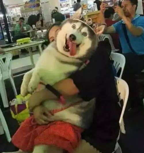 搞笑笑话你男朋友和闺蜜一起掉进水里,你会先救谁