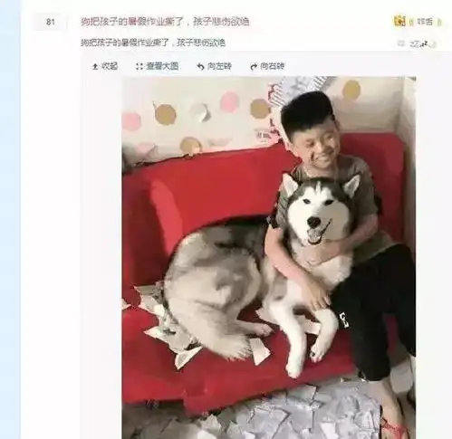 学计算机的男人一定是好人,同意的转起