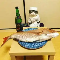 铲屎君,每天给我cosplay后,我的喵生从此改变了