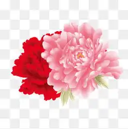 免费下载手绘花牡丹图片大全千库网png第4页