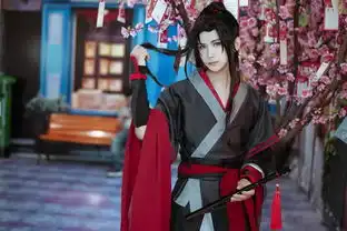 魔道祖师魏无羡夷陵老祖这么帅的男孩子现在不多了