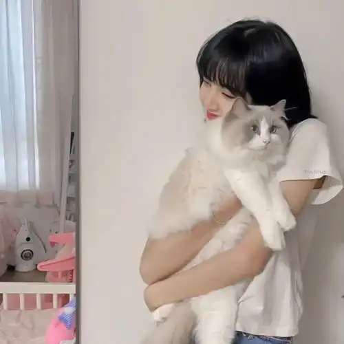 一组绝绝子的精美头像,请签收20210921
