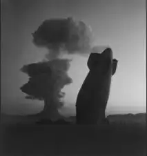 美国原子弹核爆场景被公开图片
