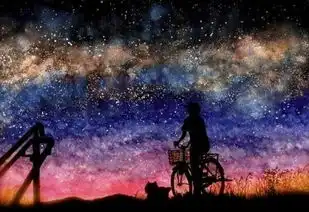 求一张满天都是星星,有个男的在星星下面,表现孤单的照片
