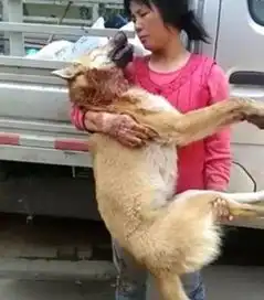 又多了一个打游戏的正当理由
