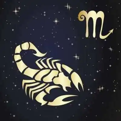 最不将就的3个星座,要嫁只嫁给爱情
