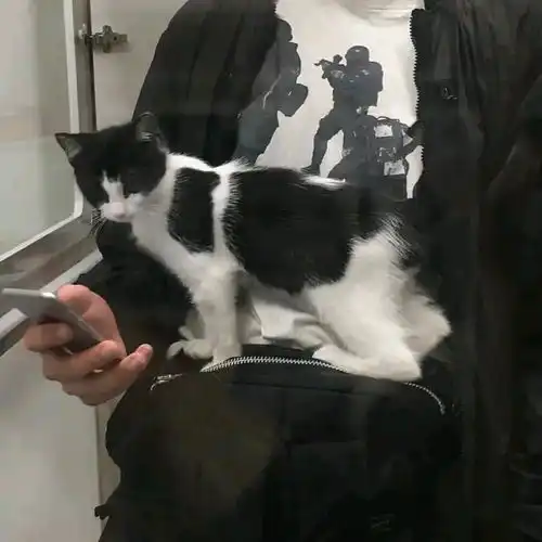 最新男头像
