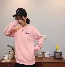 斯图西stussy男女纯棉加绒毛圈情侣圆领戴帽卫衣