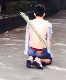 宿舍现实版负荆请罪这样的男生,你会要吗