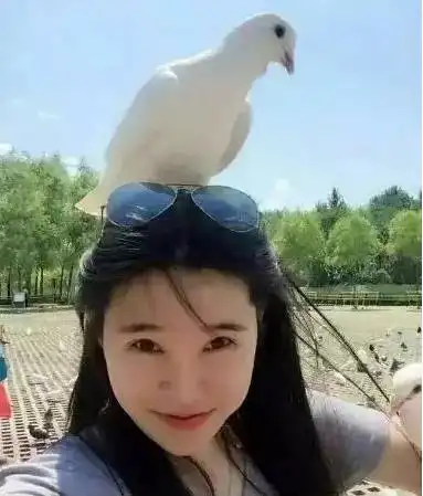 莲城惠生活搞笑囧事一箩筐,知道真相后,有点不淡定了