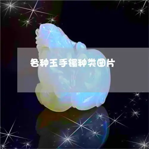 笑疯了各种玉手镯种类图片各种玉手镯种类图片及价格今日推荐资讯翡玉专栏