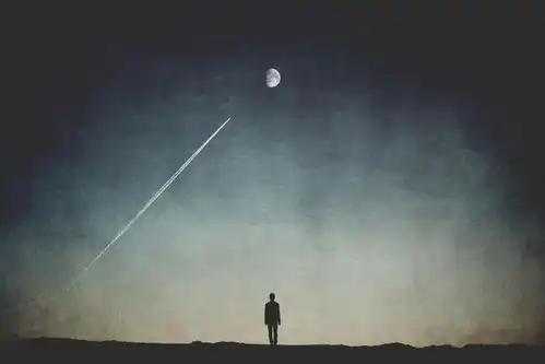孤独是你的常态,也是人生常态
